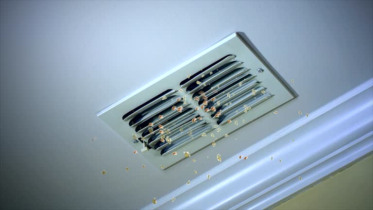 Best Ventilation Cleaning Services  in Vicksburg, MS